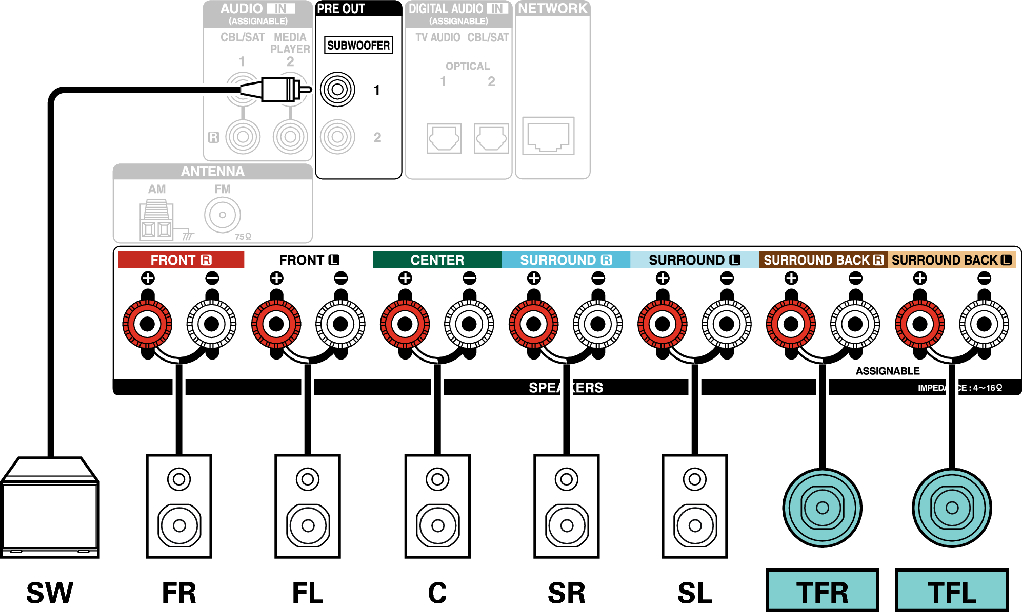 Conne SP 7.1 TF X1300E2